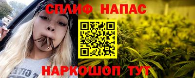 шишки Пугачёв