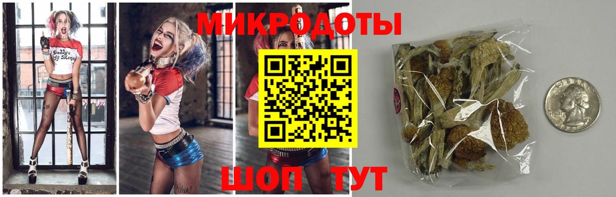 Галлюциногенные грибы мицелий Петрозаводск