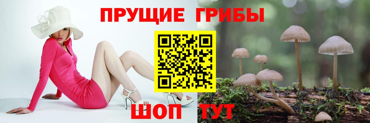 Галлюциногенные грибы MAGIC MUSHROOMS  Вход с VPN  Петрозаводск 